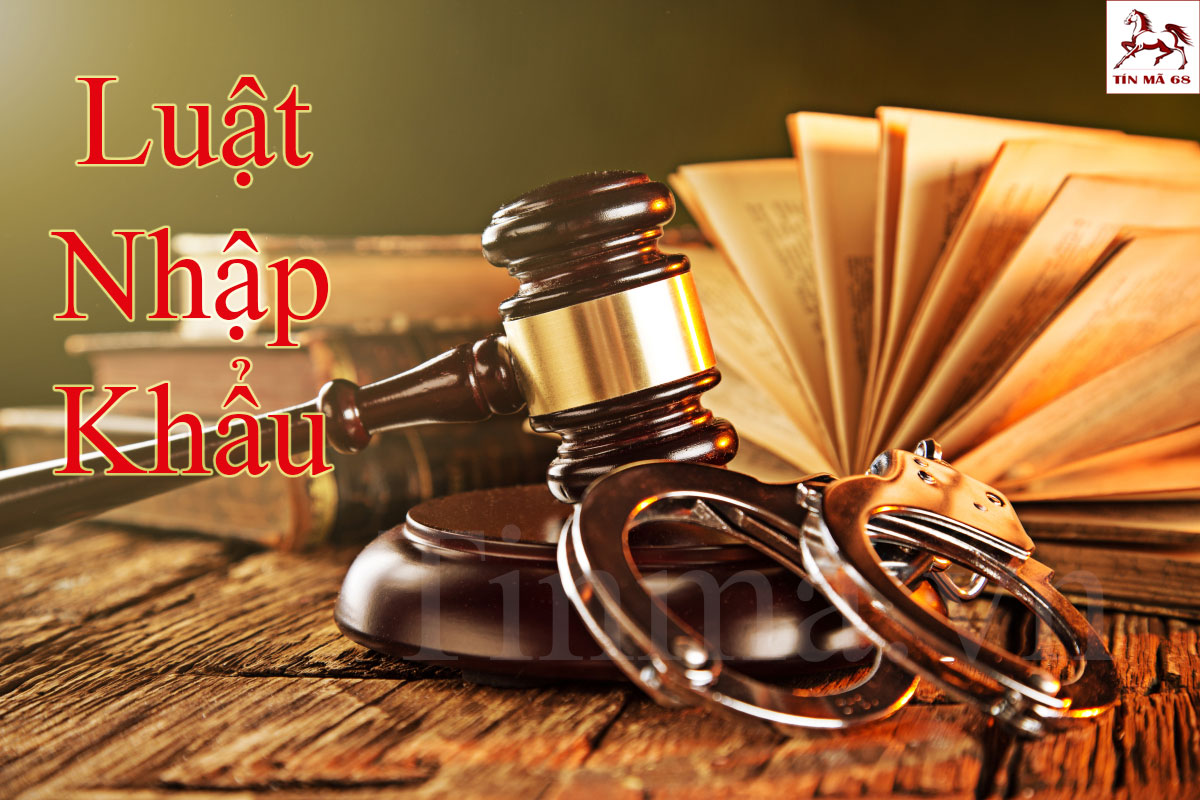 luat-kinh-doanh-hanh-hoa-nhap-khau luat-kinh-doanh-hanh-hoa-nhap-khau