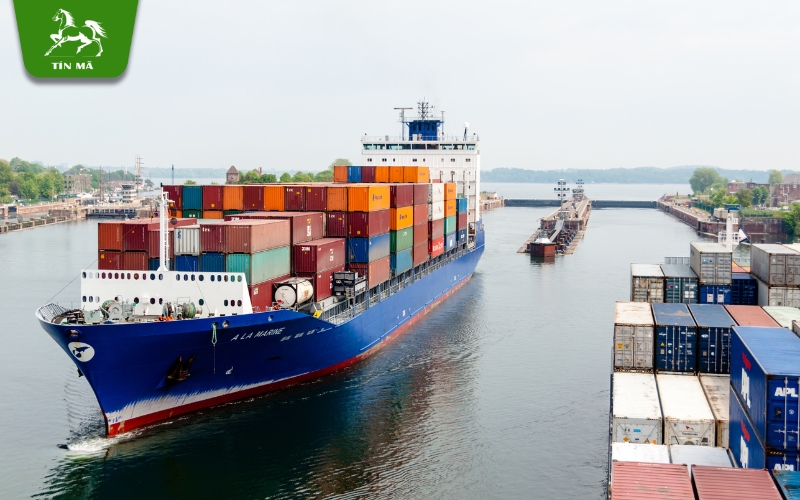 Nắm các điều khoản Incoterms khi nhập khẩu Trung Quốc hàng nguyên container bằng đường biển