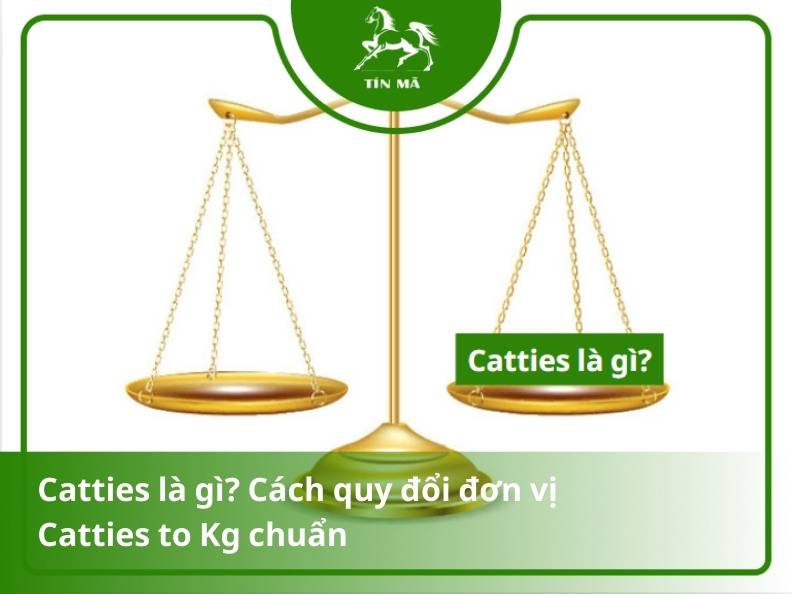 Đơn vị Catty là gì? Cách đổi Catty sang Kg đơn giản