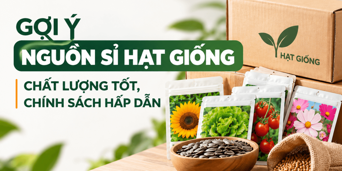 Gợi ý nguồn sỉ hạt giống chất lượng tốt, chính sách hấp dẫn