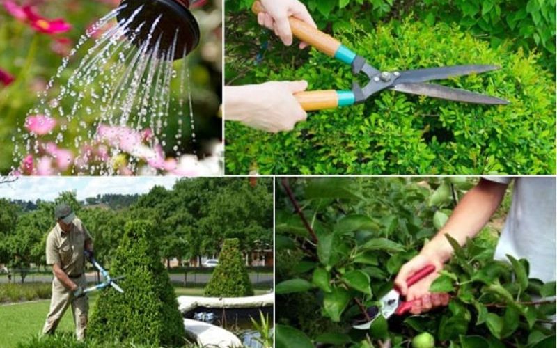 Cách lấy sỉ dụng cụ làm vườn từ Trung Quốc giá cực tốt!