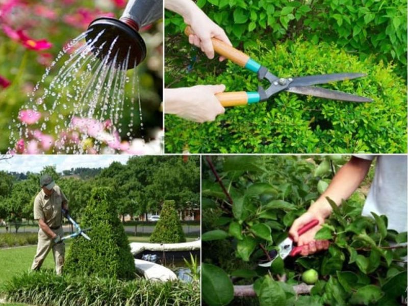 Cách lấy sỉ dụng cụ làm vườn từ Trung Quốc giá cực tốt!