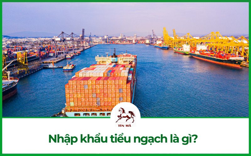 Nhập khẩu tiểu ngạch là gì? Chi tiết nhập hàng tiểu ngạch sỉ Trung Quốc